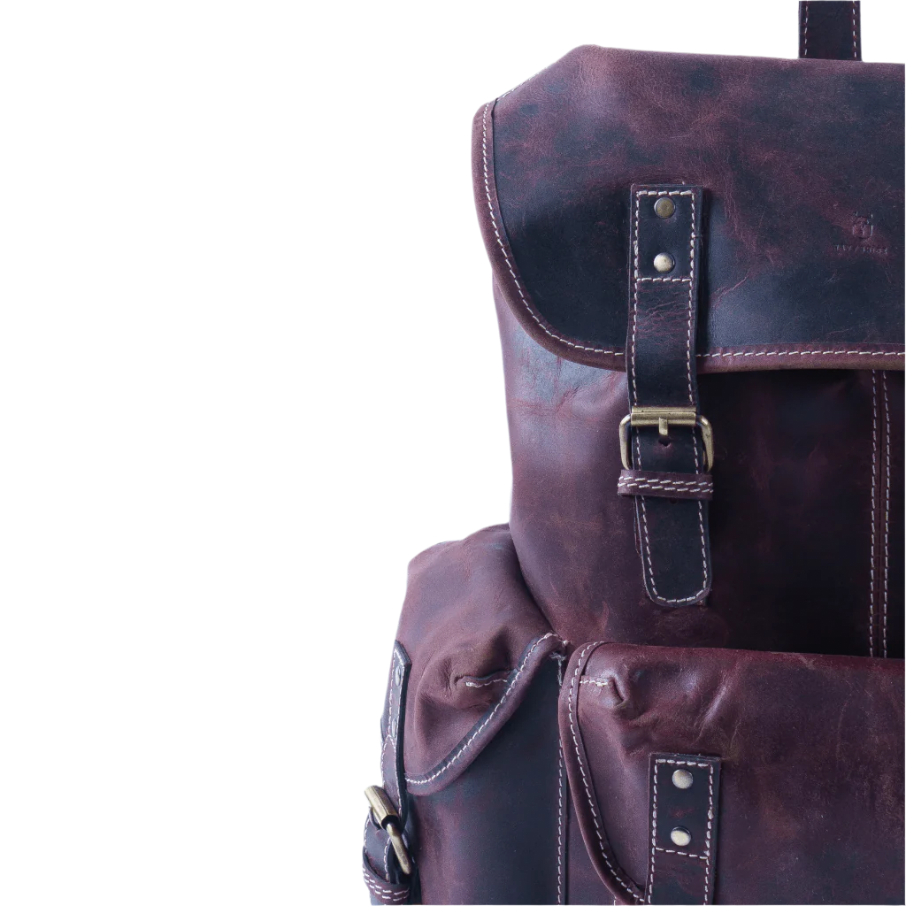 Yuvraj leather backpack by Havynhide — view 5 of 8
