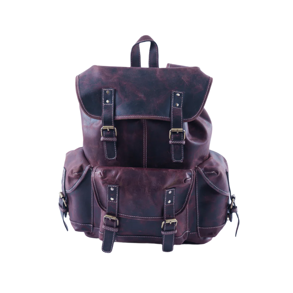 Yuvraj leather backpack by Havynhide — view 1 of 8